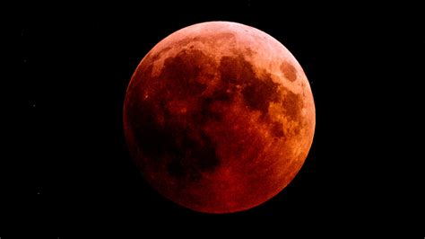 The Impact of the Magic Blood Moon on Wildlife and Nature